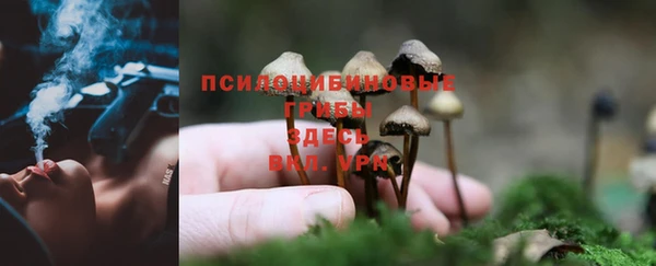 Альфа ПВП Балабаново