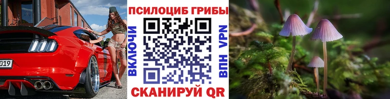 Псилоцибиновые грибы ЛСД Теберда